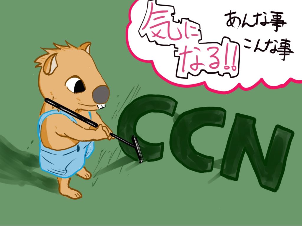 CCNの可能性☆ぶっちゃけこんなトコどうなんですか?