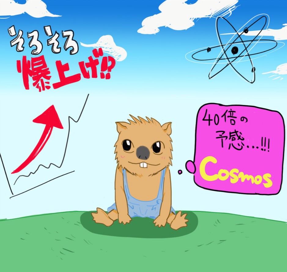 CCNのキャンペーンが始まりました!